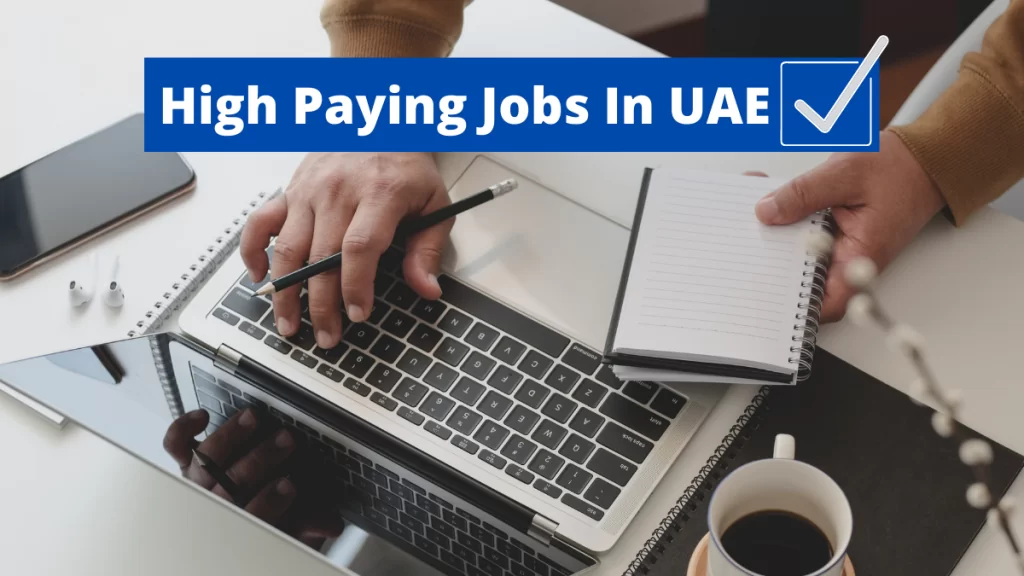 Top 5 High Paying Jobs In UAE
