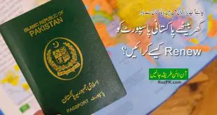 How To Renew Pakistani Passport While Living Abroad?