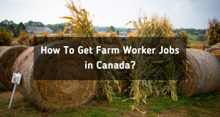 How To Get Farm Worker Jobs in Canada in 2023?