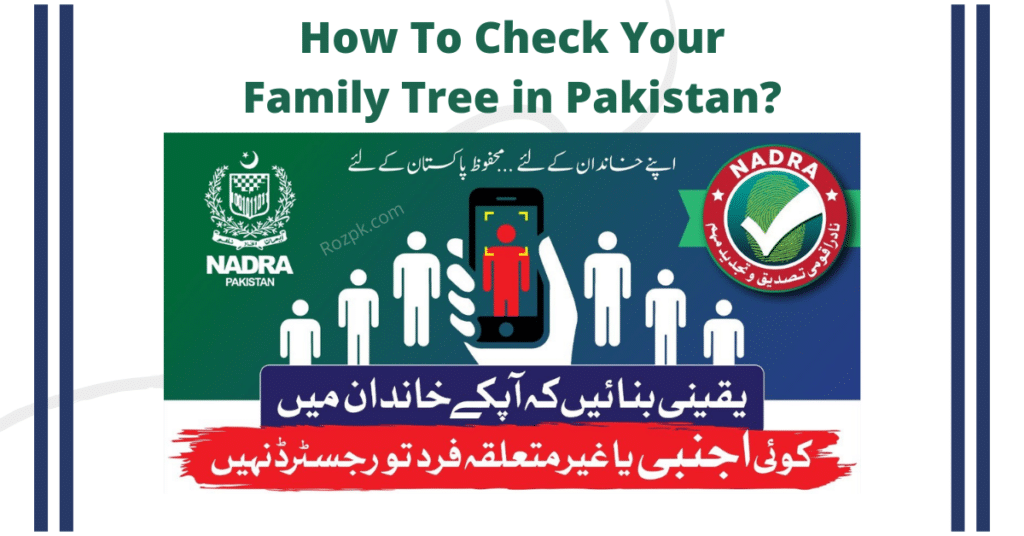 How To Check Your Family Tree in Pakistan?