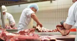 Industrial Butcher Jobs in Canada