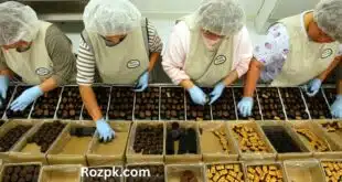 Chocolate Packing Helper Jobs in Dubai